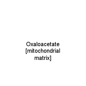 Oxaloacetate [mitochondrial matrix]
